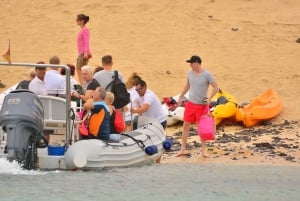 Vanuit Lanzarote: Dagtrip zeilen rond La Graciosa