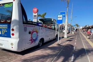 Fuerteventura :Dunas Corralejo, La Oliva Iglesia:¡cruceros!