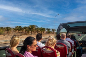 Fuerteventura :Dunas Corralejo, La Oliva Iglesia:¡cruceros!