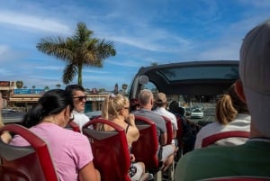 Fuerteventura :Dunas Corralejo, La Oliva Iglesia:¡cruceros!