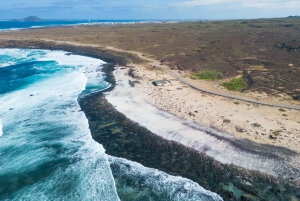 Fuerteventura: Cały dzień - poznaj wulkaniczną północ