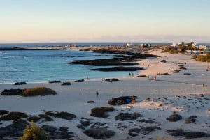 Fuerteventura Panoramic island Tour, ALL highlights in 1 day