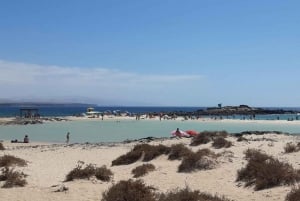 Fuerteventura Panoramic island Tour, ALL highlights in 1 day