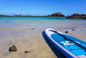 Fuerteventura: experiencia en la isla de Lobos y playa de las Palomitas