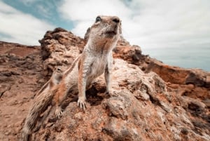 Fuerteventura Nord: mellom landskap, historie og unike fotografiske minner.