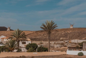 Fuerteventura Nord : pour les croisières avec service photo au départ de Puerto del Rosario