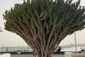 Isola di Graciosa: Safari in jeep Playa De las Conchas