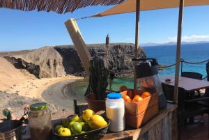 Guidet og privat udflugt til øen Lanzarote