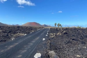 Guidet og privat udflugt til øen Lanzarote
