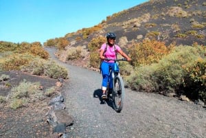 Lanzarote : Visites guidées à vélo électrique autour des volcans