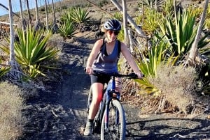Lanzarote : Visites guidées à vélo électrique autour des volcans