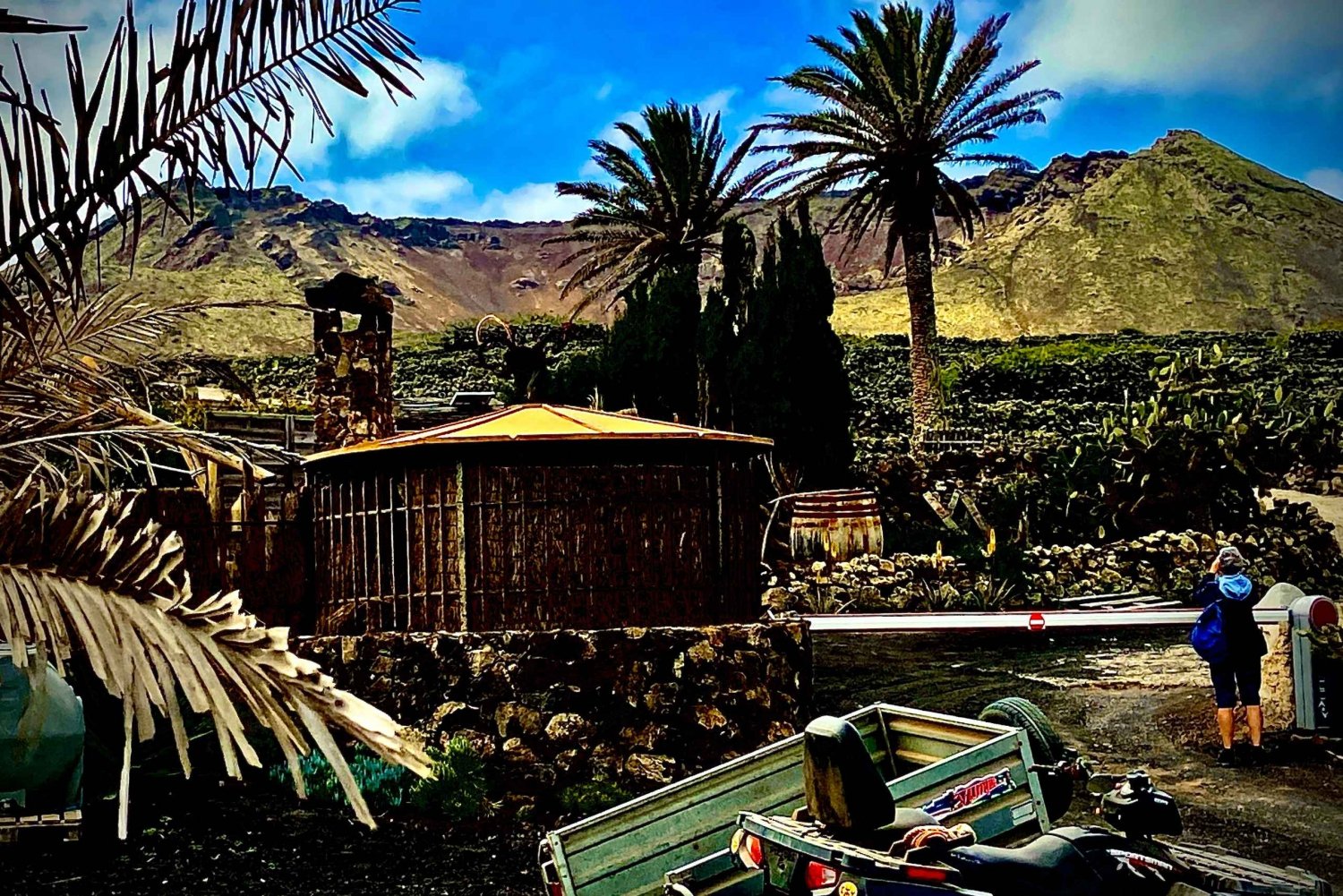 Guided excursion to the hometown of Cesar Manrique Haria Lanzarote