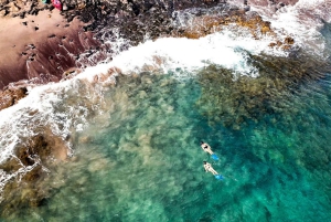 Guided Snorkeling Experience