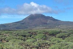 Haría: Visita guiada a pie a la ciudad natal de César Manrique