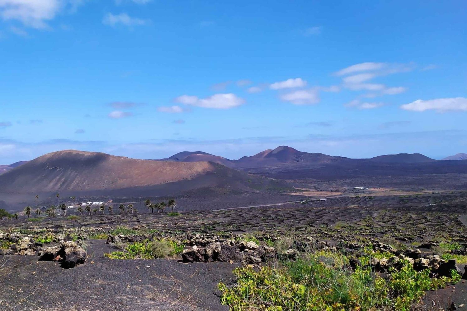 La Geria: caminata entre volcanes y viñas