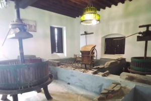 La Geria: wandeling tussen vulkanen en wijngaarden