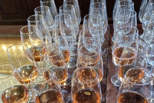 La Geria: wandeling tussen vulkanen en wijngaarden