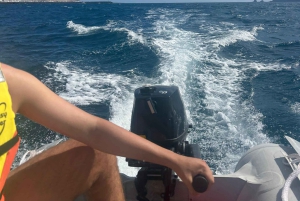 La Graciosa: rent your zodiac without a license!