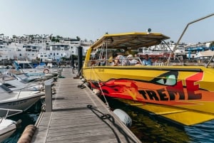 Lanzarote: 2,5 timmars kryssning med solnedgång och delfiner