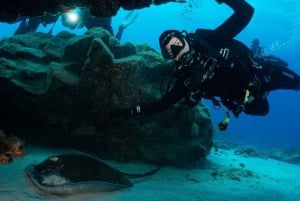 Lanzarote: 2-Dive Package for Certified Divers