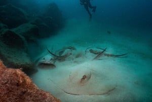Lanzarote: 2-Tauchgänge-Paket für zertifizierte Taucher