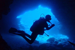 ランサローテ島：ガイド付きダイビング 2 回（認定ダイバーのみ）