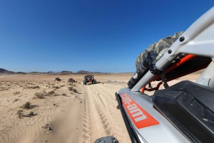 Lanzarote: tour in buggy Maverick di 3 ore