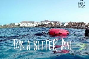 Lanzarote: 4-Day Freediving Discovery Course