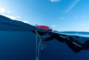 Lanzarote: 4-Day Freediving Discovery Course