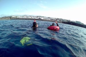 Lanzarote: 4-Day Freediving Discovery Course