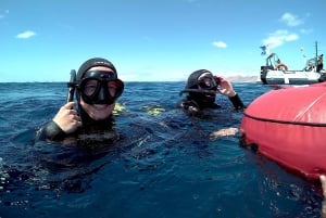 Lanzarote: 4-Day Freediving Discovery Course