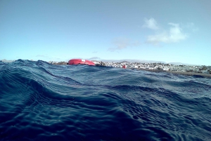 ランサローテ：4日間フリーダイビング体験コース