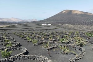 Lanzarote 4x4 Safari Adventure