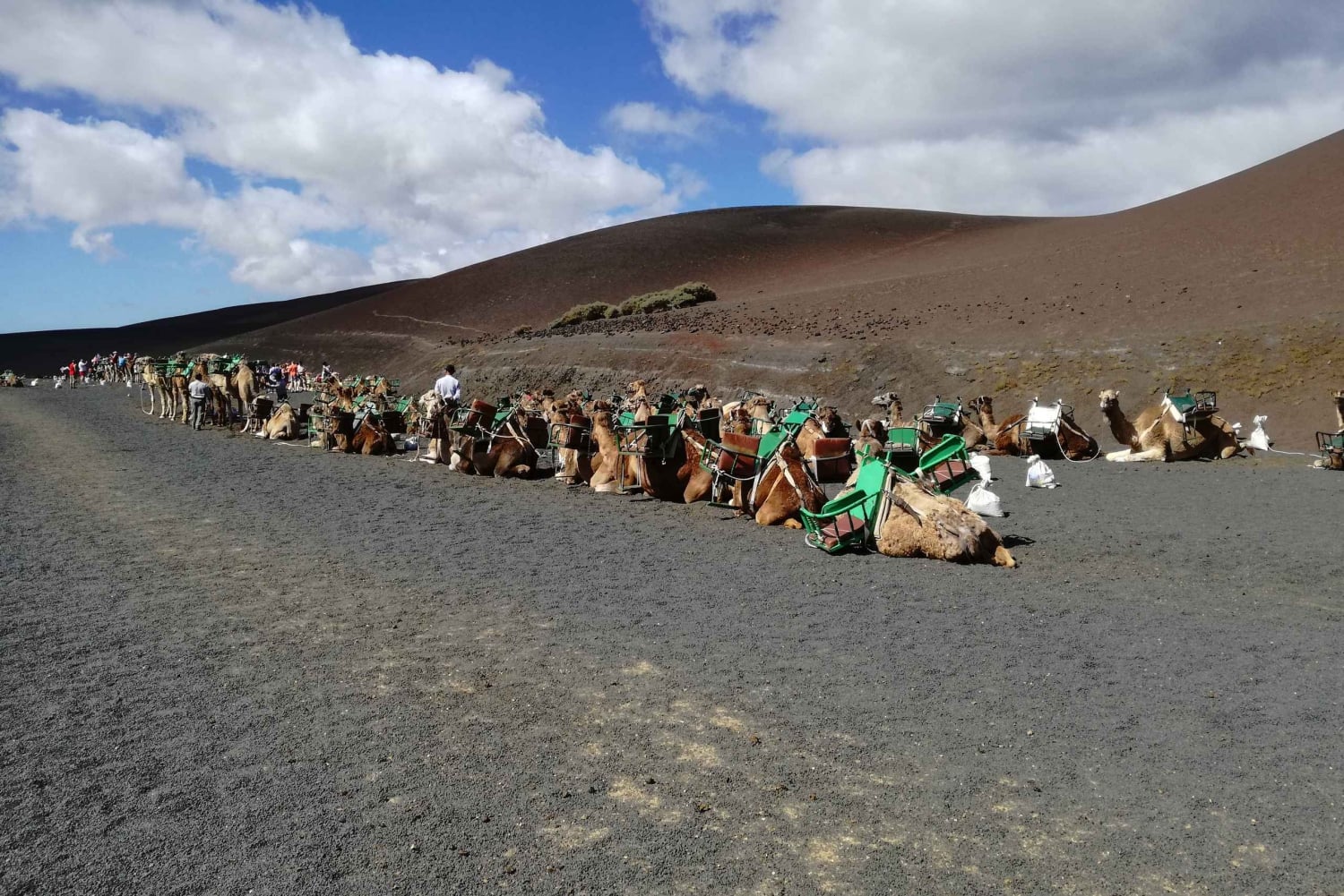 Lanzarote: 5-timers tur i Timanfaya nasjonalpark i sør