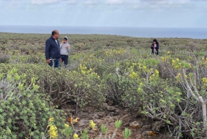 Lanzarote: En guidad körtur med olika perspektiv