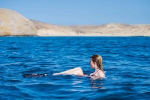 Lanzarote: Seglingstur för vuxna till Papagayo med lunch