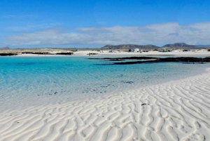 Lanzarote: Excursión avanzada en bicicleta eléctrica de 5 horas por Fuerteventura