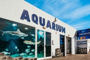 Lanzarote: Aquarium Entry Ticket