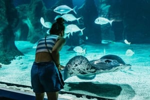 Lanzarote: Aquarium Entry Ticket