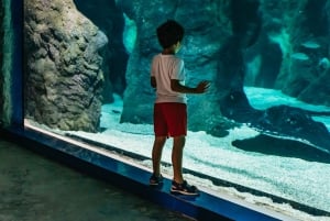 Lanzarote: Aquarium Entry Ticket