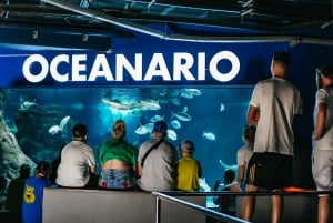 Lanzarote: Aquarium Entry Ticket