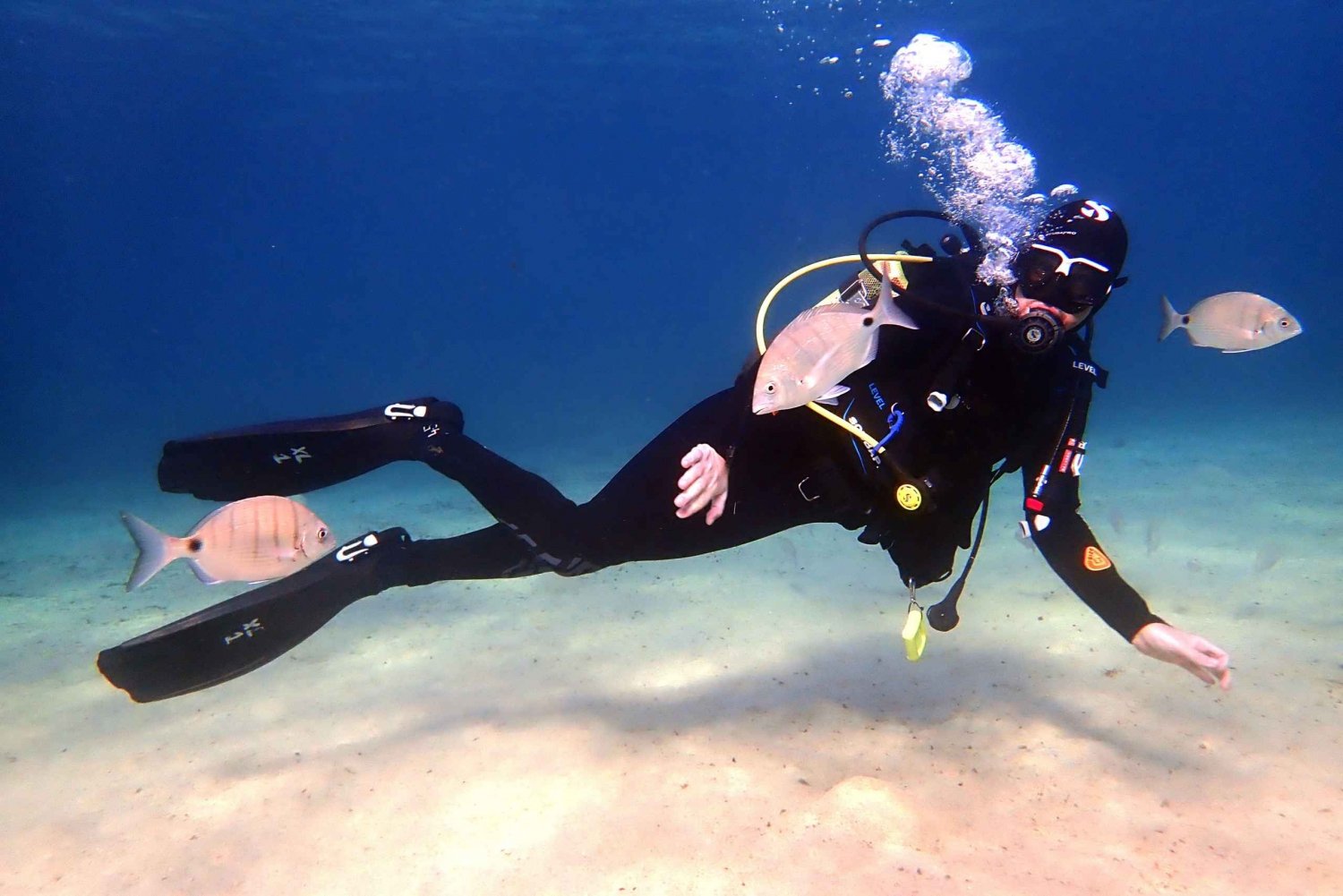 Lanzarote: Beginner Diving Course Costa Teguise (2 dives)