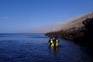 Lanzarote: kurs nurkowania dla początkujących Costa Teguise (2 nurkowania)