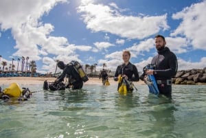 Lanzarote: Beginner Scuba Diving from the Beach