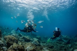 Lanzarote: Beginner Scuba Diving from the Beach