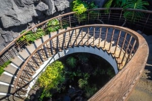 Lanzarote: César Manrique konst och natur privat tur