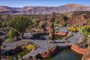 Lanzarote: César Manrique konst och natur privat tur