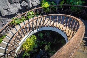 Лансароте: частная экскурсия «Искусство и природа Сесара Манрике»