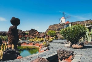 Lanzarote: César Manrique Full-Day Tour