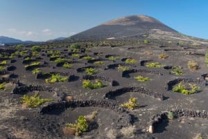 Lanzarote: Day Tour for Cruise Passengers